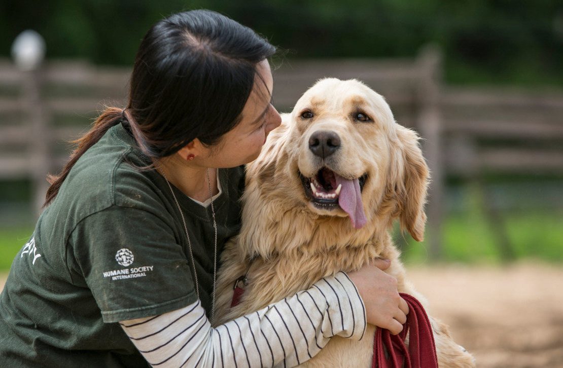 A Women Holds Her Dog and looking at dogs Face
