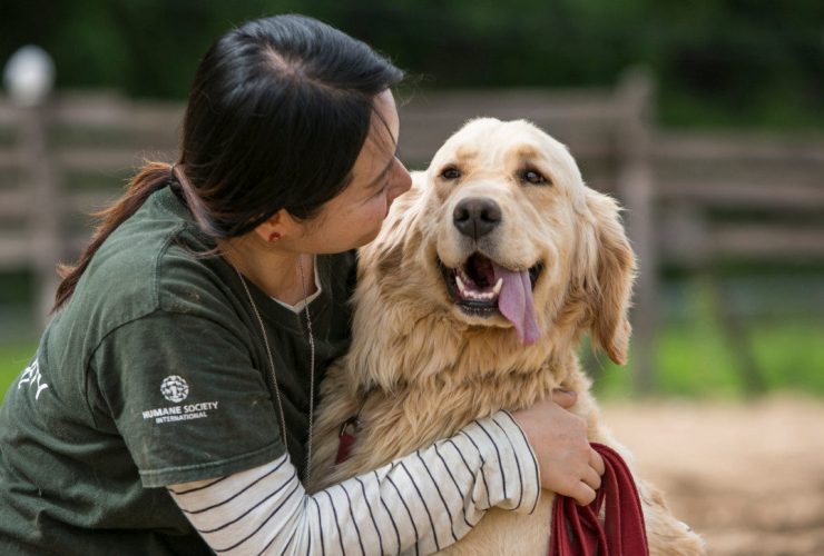 A Women Holds Her Dog and looking at dogs Face