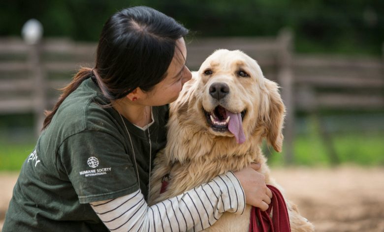 A Women Holds Her Dog and looking at dogs Face